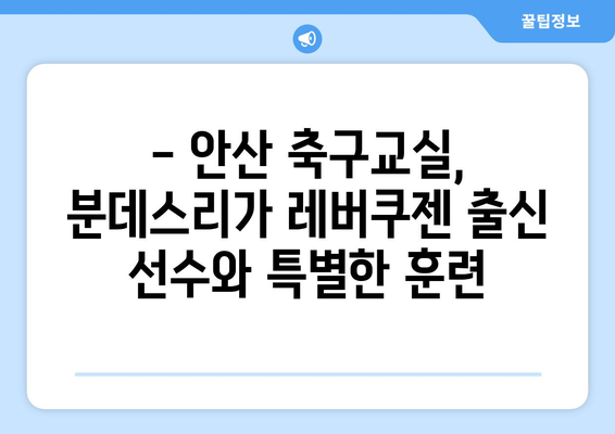 분데스리가 레버쿠젠 출신 선수와 함께하는 안산 축구교실 훈련| 특별한 경험 | 축구교실, 레버쿠젠, 안산, 훈련, 유소년