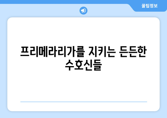 프리메라리가 수비의 거물들| 빛나는 수비수들의 활약상 | 스페인 축구, 라리가, 수비수, 톱 플레이어