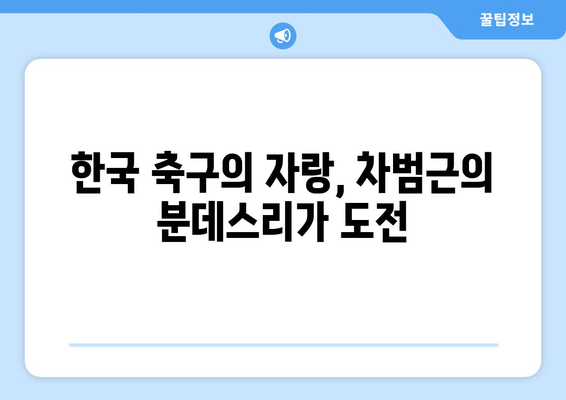 차범근의 위엄, 분데스리가 역대 득점 순위| 전설의 발자취를 따라가다 | 분데스리가, 득점왕, 레전드, 축구, 한국 축구