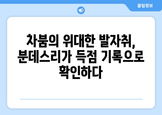 차범근, 분데스리가 역대 득점 순위에 새겨진 위대한 발자취 | 한국 축구 레전드, 분데스리가 기록