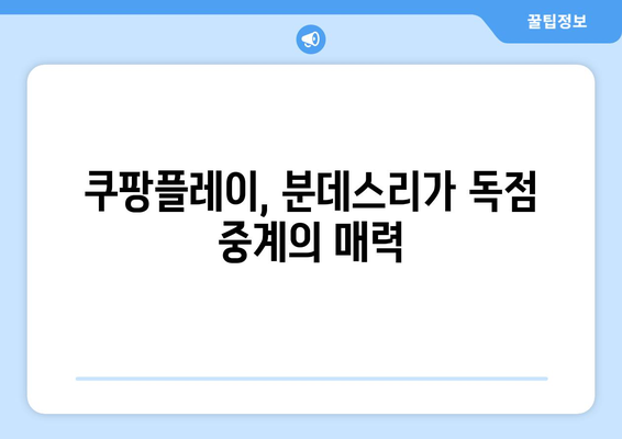 분데스리가 중계, 쿠팡 플레이는 어떨까요? 장단점 비교분석 & 종합 평가 | 축구 중계, 스포츠 스트리밍, 쿠팡 플레이, 분데스리가