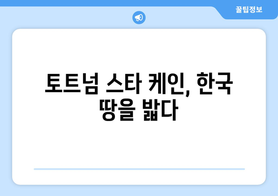 월드컵 스타 토트넘 케인, 한국 땅을 밟다! | 내한 소식, 일정, 팬들 반응