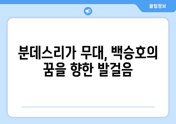 백승호, 다름슈타트에서 분데스리가 꿈을 펼치다| 친밀감 상승과 함께 성장하는 빛 | 분데스리가, 한국 축구, 이적