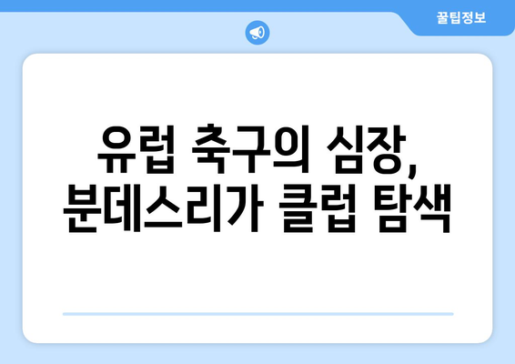 독일 축구 유학 꿈나무를 위한 분데스리가 리그 구성 완벽 가이드 | 분데스리가, 독일 축구, 유학, 리그 정보, 클럽 탐색