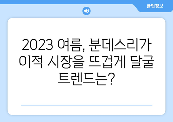 분데스리가 4대 리그 자유계약 선수 & 이적시장 주요 트렌드 분석 | 2023년 여름 이적시장 전망