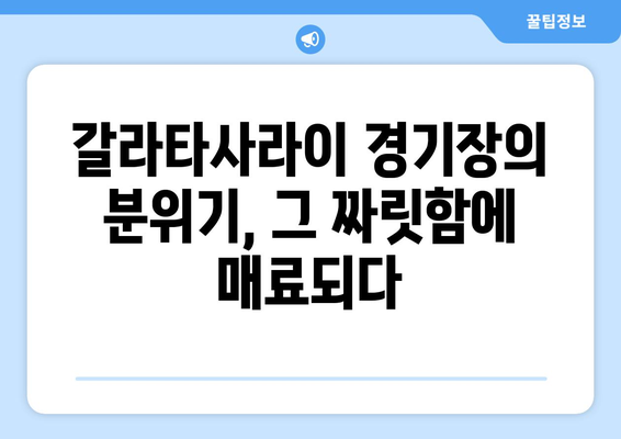 갈라타사라이 경기장의 함성과 열기| 터키 축구의 심장 | 갈라타사라이, 터키 축구, 축구 경기, 분위기