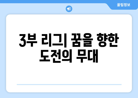 독일 축구 리그 탐구| 분데스리가 1, 2부 리그와 3부 리그 구성 | 독일, 축구, 분데스리가, 3부 리그