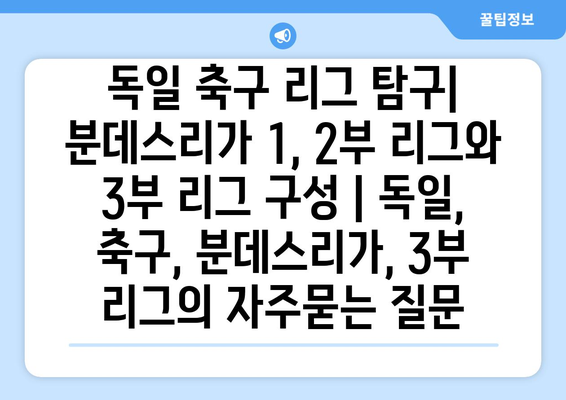 독일 축구 리그 탐구| 분데스리가 1, 2부 리그와 3부 리그 구성 | 독일, 축구, 분데스리가, 3부 리그