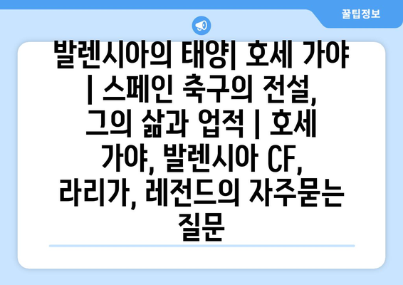발렌시아의 태양| 호세 가야 | 스페인 축구의 전설, 그의 삶과 업적 | 호세 가야, 발렌시아 CF, 라리가, 레전드