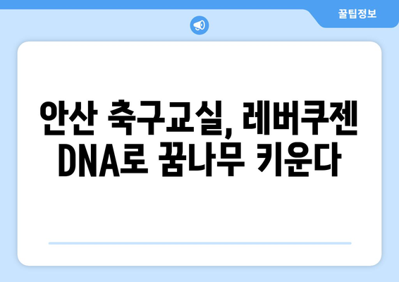 레버쿠젠 출신 선수, 안산 축구교실에서 훈련 시작 | 유소년 축구, 꿈나무 육성, 레버쿠젠