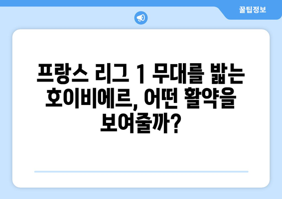 호이비에르, 프리미어리그 떠나 마르세유행! 이적 배경과 앞으로의 활약 기대 | 호이비에르, 토트넘, 마르세유, 이적, 프랑스 리그 1