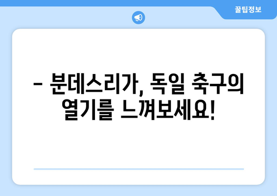 2023-2024 분데스리가 시즌 완벽 가이드| 중계 정보, 일정, 주요 이적 | 분데스리가, 축구, 독일