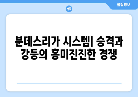 독일 축구 리그 탐구| 분데스리가 1, 2부 리그와 3부 리그 구성 | 독일, 축구, 분데스리가, 3부 리그