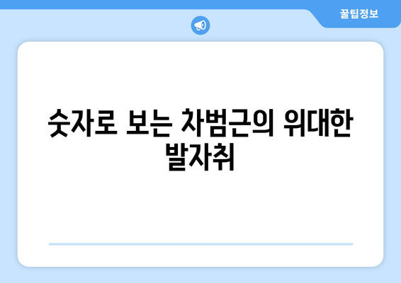 분데스리가 역대 득점 순위| 차범근, 전설의 발자취를 따라가다 | 한국인 레전드, 기록, 순위, 역사