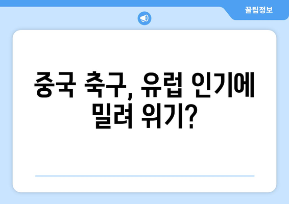 중국 축구 팬들의 마음을 떠나는 유럽 축구? | 중국, 축구, 인기 하락, 이유, 분석