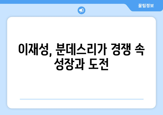 이재성, 분데스리가 합류로 어떤 시너지 효과 기대할까? | 이재성, 분데스리가, 시너지 효과, 축구