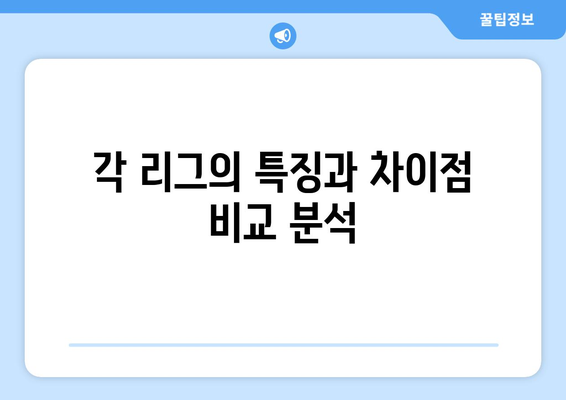 독일 축구 리그 탐구| 분데스리가 1, 2부 리그와 3부 리그 구성 | 독일, 축구, 분데스리가, 3부 리그