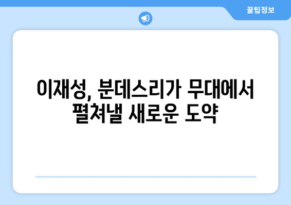 이재성, 분데스리가 합류로 어떤 시너지 효과 기대할까? | 이재성, 분데스리가, 시너지 효과, 축구