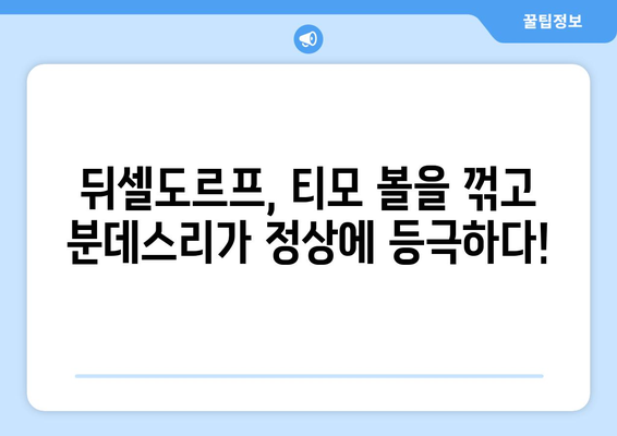 티모 볼의 패배| 2021/2022 독일 탁구 분데스리가 챔피언은 뒤셀도르프 | 탁구, 분데스리가, 챔피언, 뒤셀도르프