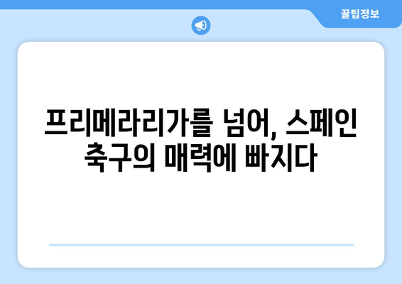 프리메라리가 명승지| 방구석 박물관에서 떠나는 축구 여행 | 프리메라리가, 스페인 축구, 명소, 박물관, 여행