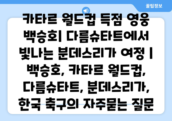 카타르 월드컵 득점 영웅 백승호| 다름슈타트에서 빛나는 분데스리가 여정 | 백승호, 카타르 월드컵, 다름슈타트, 분데스리가, 한국 축구