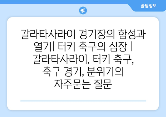 갈라타사라이 경기장의 함성과 열기| 터키 축구의 심장 | 갈라타사라이, 터키 축구, 축구 경기, 분위기