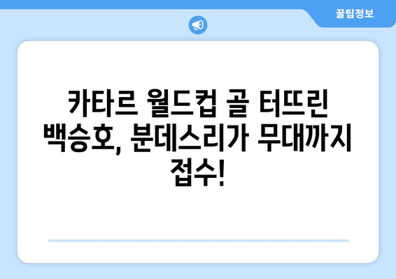 백승호, 카타르 월드컵 득점! 다름슈타트 분데스리가 승격 & 팬덤 확장 | 백승호, 카타르 월드컵, 다름슈타트, 분데스리가, 팬덤, 한국 축구