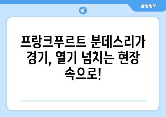 프랑크푸르트에서 느껴본 분데스리가의 열기| 경기장 분위기 & 팬심 | 분데스리가, 독일 축구, 프랑크푸르트, 여행