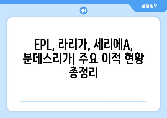 해외축구 이적시장| EPL, 라리가, 세리에A, 분데스리가 주요 이적 현황 및 분석 | 2023 여름 이적시장, 핵심 영입, 이적료, 선수 분석