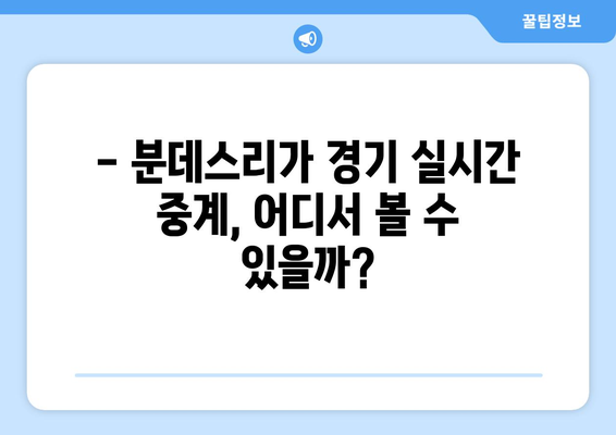 2023-2024 분데스리가 시즌 완벽 가이드| 중계 정보, 일정, 주요 이적 | 분데스리가, 축구, 독일