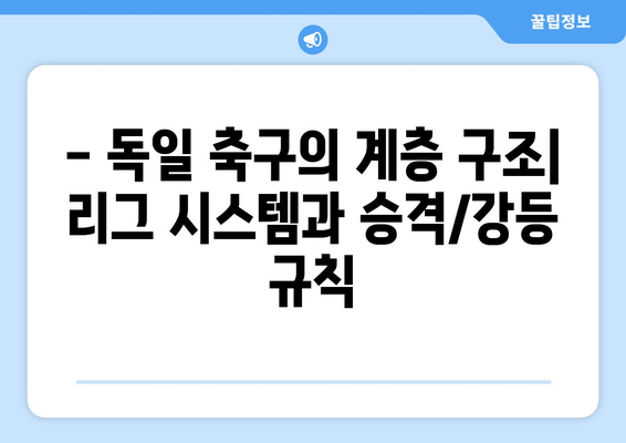 분데스리가 리그 구성 완벽 가이드| 1부, 2부, 3부 리그 상세 설명 | 독일 축구, 리그 시스템, 승격, 강등