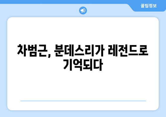 차범근의 위엄, 분데스리가 역대 득점 순위| 전설의 발자취를 따라가다 | 분데스리가, 득점왕, 레전드, 축구, 한국 축구