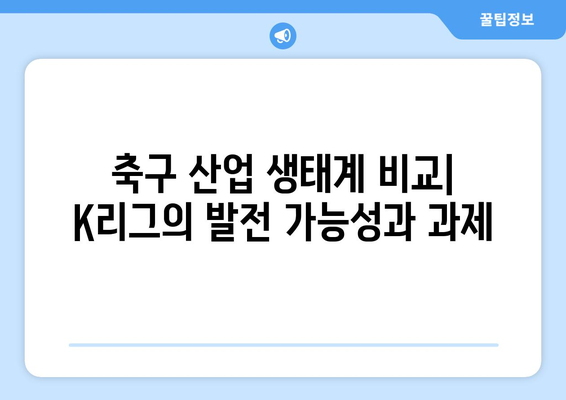 유럽 5대 리그 vs K리그| 축구 경제 분석을 통한 격차 비교 | 축구 산업, 경제 분석, 리그 비교, 성장 전략