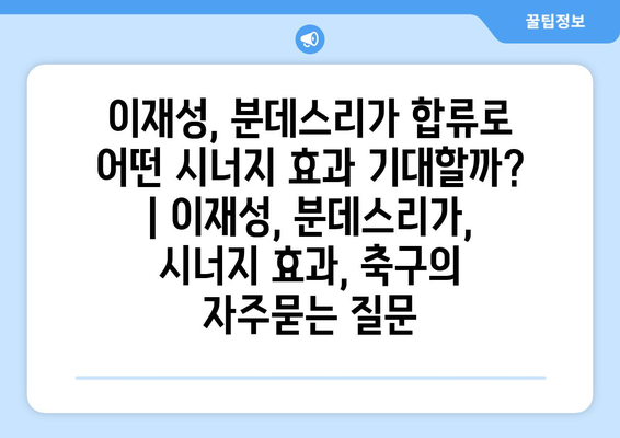 이재성, 분데스리가 합류로 어떤 시너지 효과 기대할까? | 이재성, 분데스리가, 시너지 효과, 축구