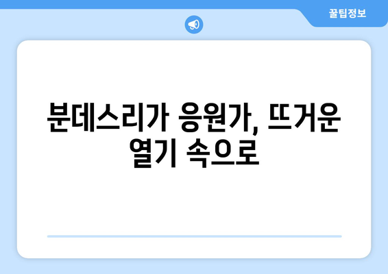 독일 분데스리가 응원가| 열정과 감동의 멜로디 | 분데스리가, 축구 응원가, 독일 축구