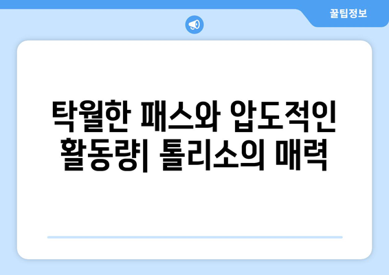 올림픽 리옹의 중앙 미드필더 톨리소| 실력과 성장을 엿보다 | 핵심 분석, 경기 영상, 선수 프로필