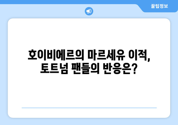 호이비에르, 프리미어리그 떠나 마르세유행! 이적 배경과 앞으로의 활약 기대 | 호이비에르, 토트넘, 마르세유, 이적, 프랑스 리그 1