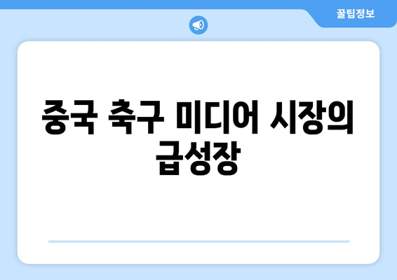 중국 축구 미디어 시장 성장 vs 유럽 축구 선수권 대회 인기 저조| 그 이유는? | 중국 축구, 유럽 축구, 미디어 시장 분석