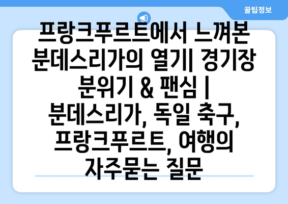 프랑크푸르트에서 느껴본 분데스리가의 열기| 경기장 분위기 & 팬심 | 분데스리가, 독일 축구, 프랑크푸르트, 여행