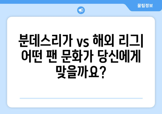 분데스리가 vs 해외 주요 리그| 팬 문화 비교 분석 | 축구, 응원, 열기, 경쟁