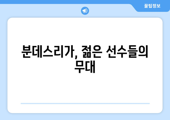 유럽 축구 열풍 속, 독일 축구의 미래를 엿보다 | 분데스리가, 독일 국가대표, 젊은 피