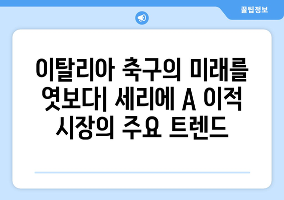 세리에 A 이적 시장 오피셜 완벽 정리 | 2023 여름 이적 시장 분석 및 주요 선수 이적 현황