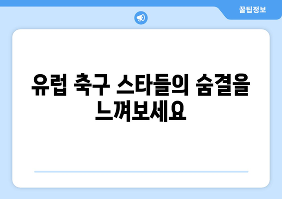 의왕 롯데아울렛에서 즐기는 유럽 축구 축제| 볼거리 & 즐길거리 가이드 | 의왕, 롯데아울렛, 유럽 축구, 축제, 행사