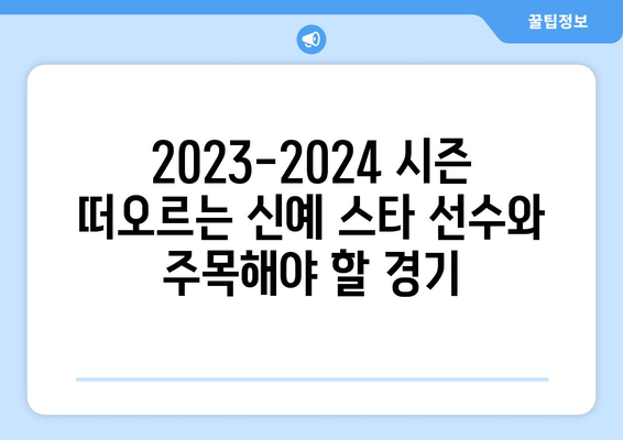 2023-2024 유럽 축구 완벽 정복| The Champion 가이드북 | 유럽 축구, 챔피언스 리그, 프리미어 리그, 라리가, 세리에 A, 분데스리가