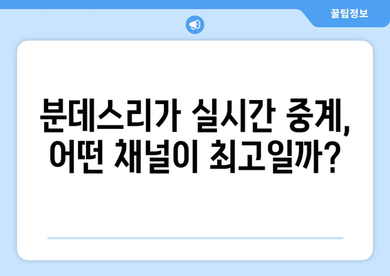 분데스리가 중계 채널 선택 가이드| 어떤 채널이 당신에게 최고일까요? | 축구, 스포츠 중계, 해외 축구