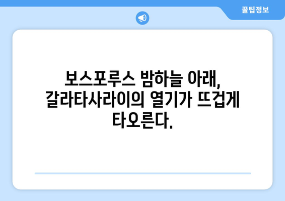 보스포루스의 열정| 갈라타사라이 경기장에서 펼쳐지는 축구의 교향곡 | 터키 축구, 갈라타사라이, 경기장, 축구 문화