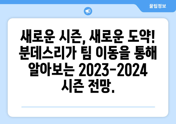 분데스리가 팀 이동 순위 TOP 10| 2023-2024 시즌 선수들의 움직임 | 축구 이적 시장, 분데스리가, 선수 이적