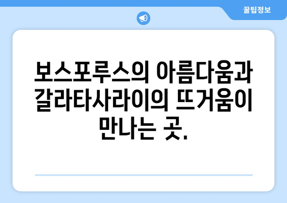 보스포루스의 열정| 갈라타사라이 경기장에서 펼쳐지는 축구의 교향곡 | 터키 축구, 갈라타사라이, 경기장, 축구 문화