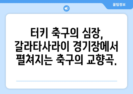 보스포루스의 열정| 갈라타사라이 경기장에서 펼쳐지는 축구의 교향곡 | 터키 축구, 갈라타사라이, 경기장, 축구 문화