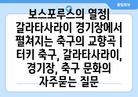 보스포루스의 열정| 갈라타사라이 경기장에서 펼쳐지는 축구의 교향곡 | 터키 축구, 갈라타사라이, 경기장, 축구 문화